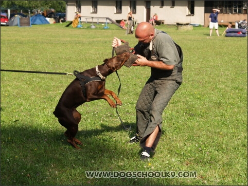 Training camp - Lukova 2007